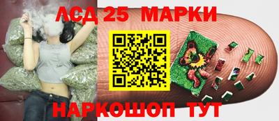 мяу мяу мука Нальчик