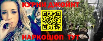 прущие грибы Наро-Фоминск