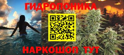 мяу мяу мука Нальчик