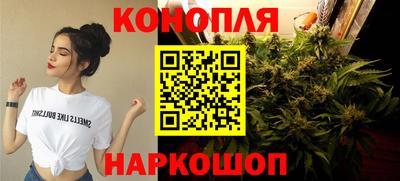 прущие грибы Наро-Фоминск